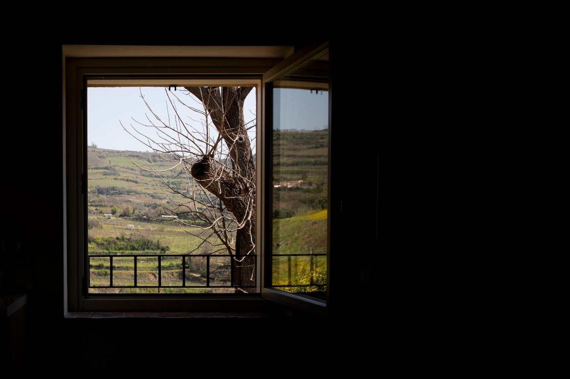 Corte Dei Soavi Suites - Apartments Soave  Bagian luar foto